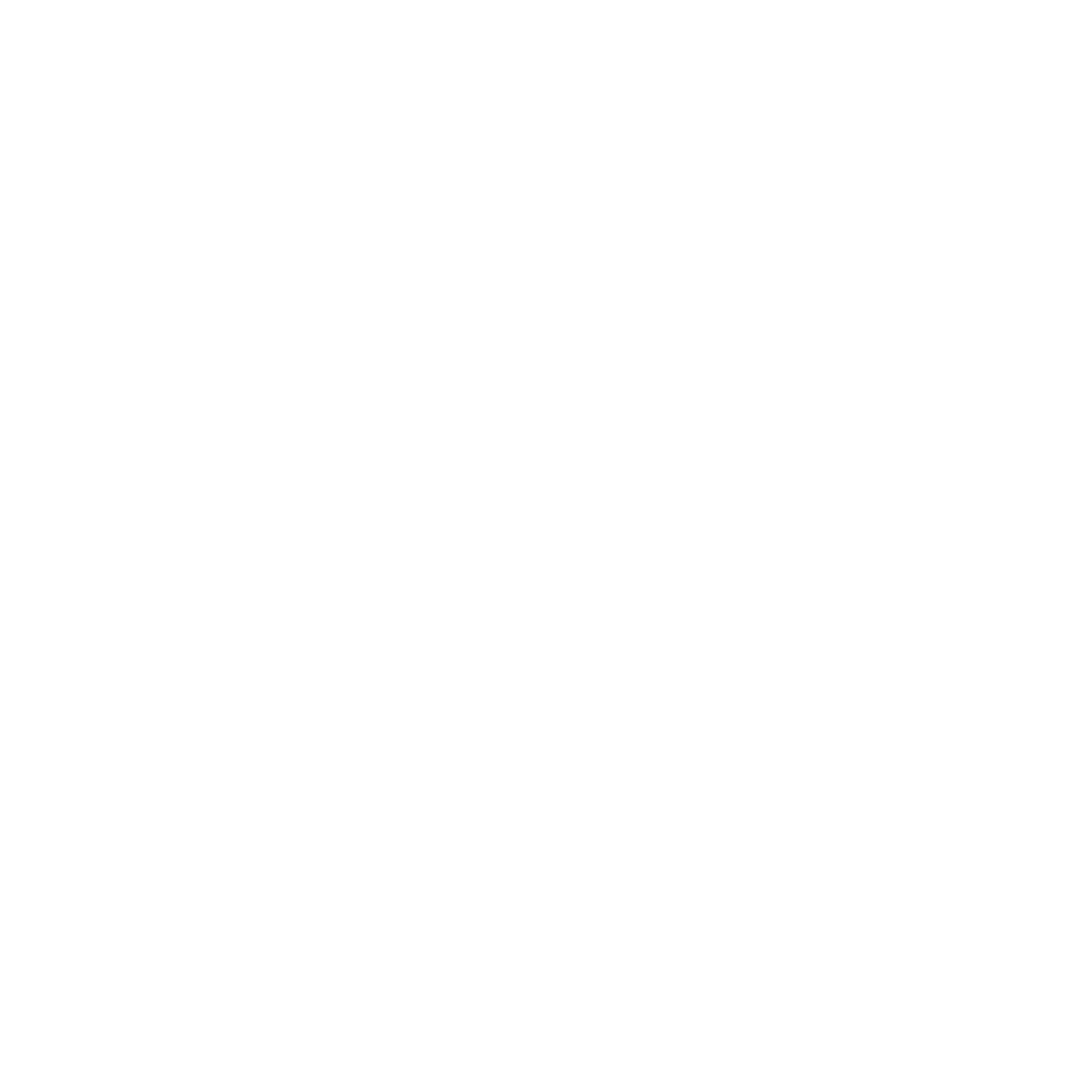 Icono Control de accesos